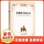 �������������� ���⣩��̨���� �й���Ů������ ���»���Ӫ�����鼮��